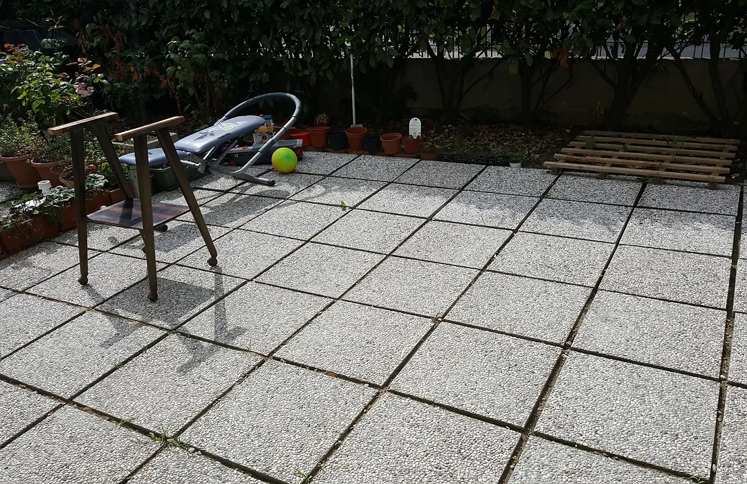 Ever Green-1